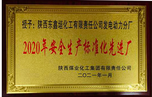 2020年安全生產(chǎn)標(biāo)準(zhǔn)化先進廠.jpg